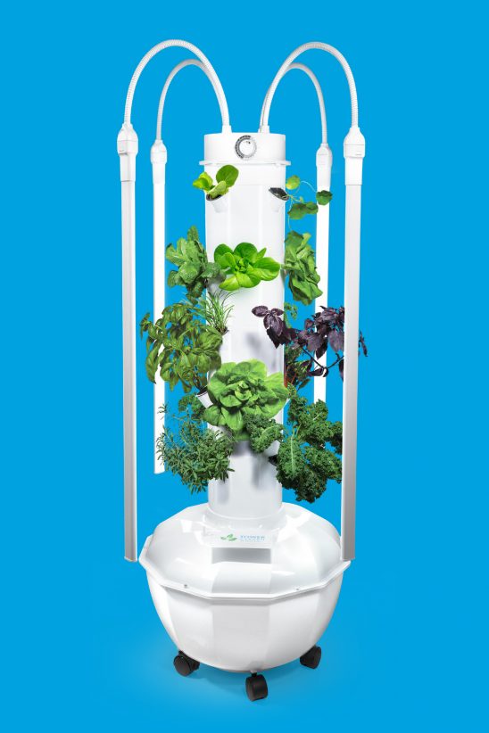 Ernährung, so dass es Dir gut geht